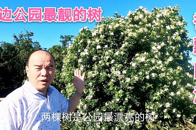 阿武悦生活的个人展示页