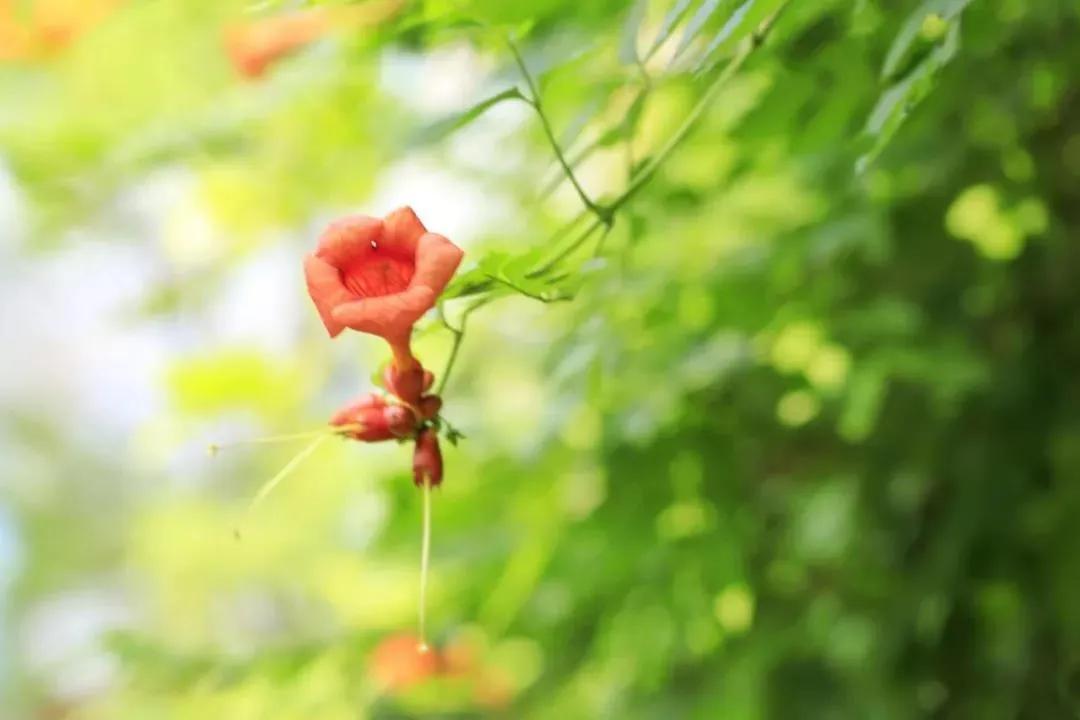 明天起,生活迎来新机遇,桃花不得了, 横财运了不得,好日子即将到来