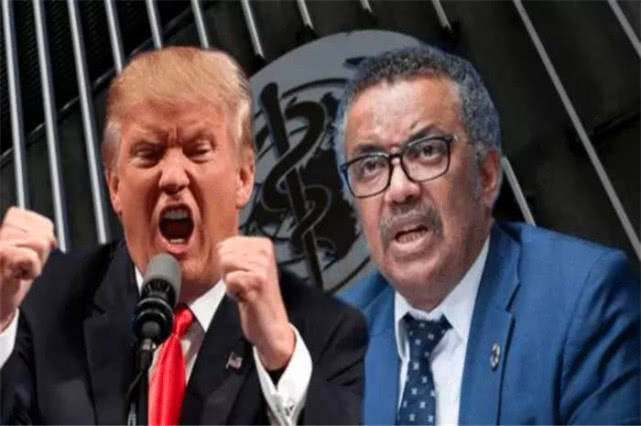 怎么去美国当科学家 9a501aef35b64ccb8ad42c7248fe8f0c.jpeg