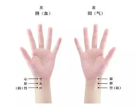 0487ffc3908a4fb1bcbf728c0591512d.png