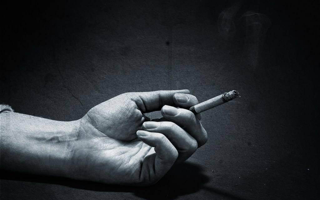 手机搜狐网