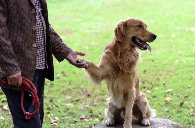 565b150989f14b79851f1dfa1aab9e74.jpeg