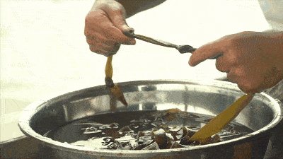 什么食物对肝脏特别好 7512747af62c41bfaf2ca97d71c92aa0.gif