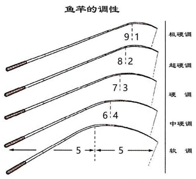 什么是鱼竿的调性?此文说的明明白白,钓鱼新手看一遍就懂