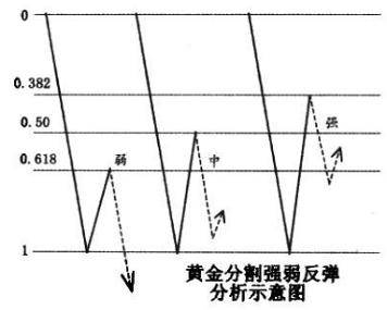 黄金分割线的画法