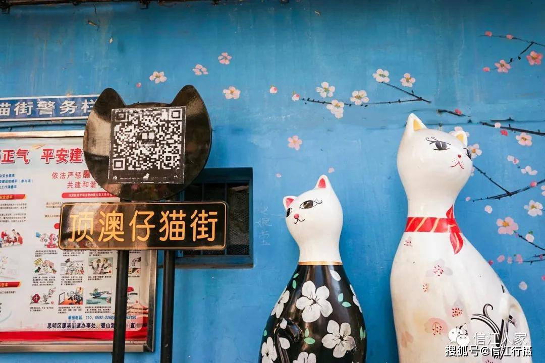 逛顶澳仔猫咪街厦门掠影27