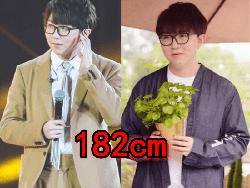 原创有种反差叫长相与身高不符毛不易陈瑶没啥邢昭林太意外
