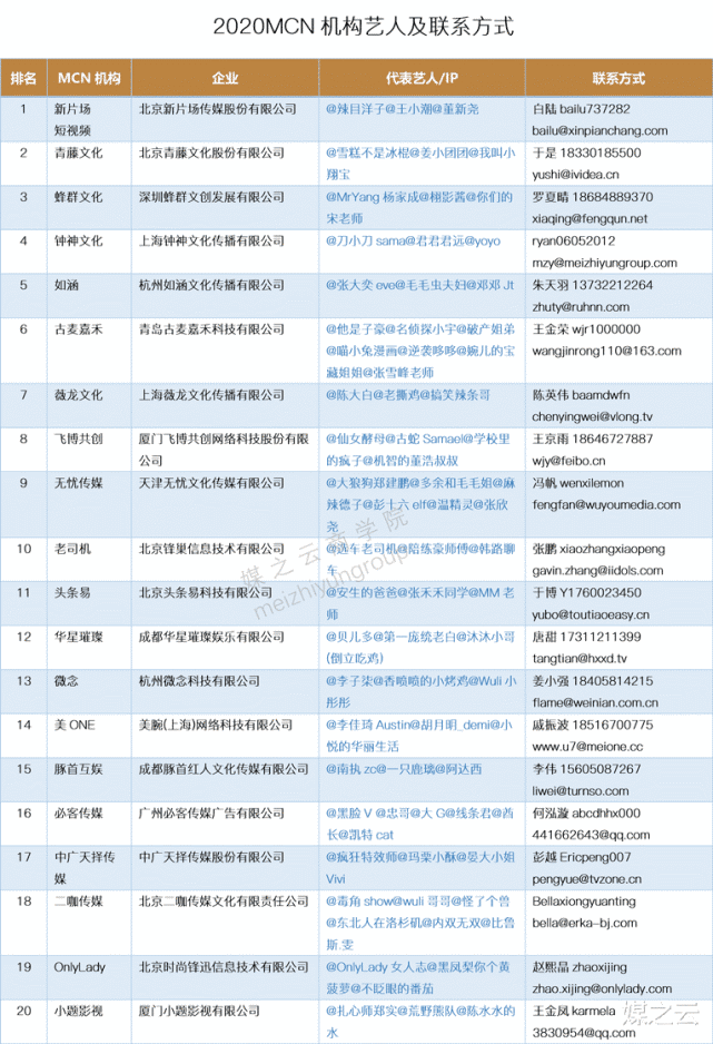 2020年年度MCN排名_2020年中国MCN行业发展研究白皮书.pdf