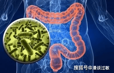 肠道菌群失调是如何诱发肠癌的?关注肠道菌群失调问题!