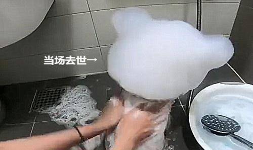 5259cd951fb747d7afb63bdcbd1caed1.jpeg