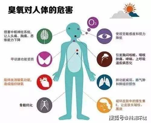 哪些疾病会导致呼吸问题 b11c2032ee864cdfbe1929c327d8eb63.jpeg