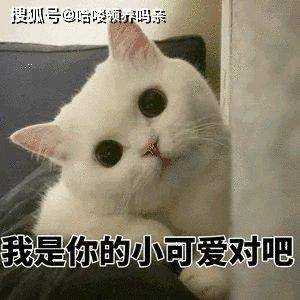 7a494720e78f453cae0ca59c02052475.jpeg