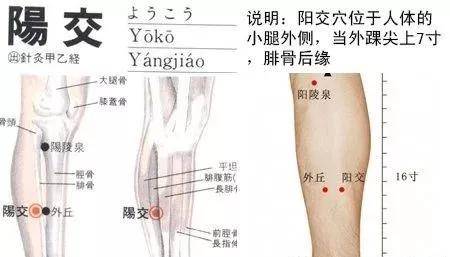 阳交穴:疏肝理气