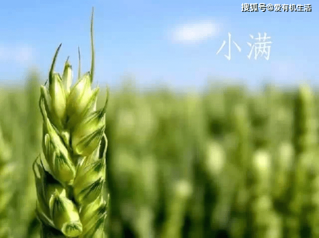 97e6f8263f8546abb6348ff806a0ef22.png