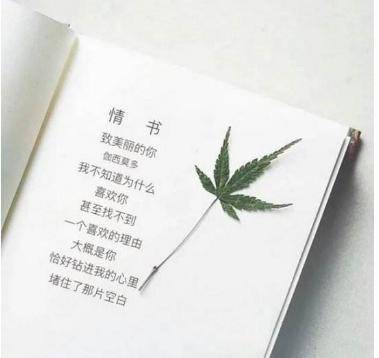 温暖人心的经典语句,说得真好,累了就看看