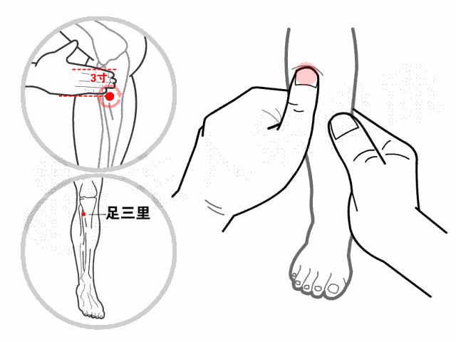 「孩子」捏积派——脾胃为什么总出问题？如何让孩子的脾胃强壮起来？