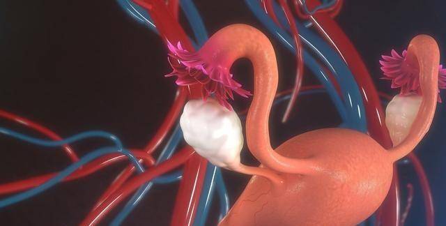 吃什么月经多一点呢 16151e0d555c4a41aad2aae41509d40e.jpeg