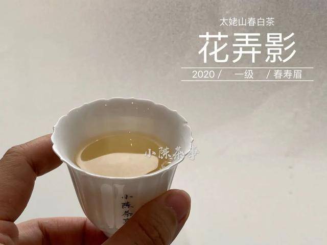 朴树白桦林的曲谱(2)