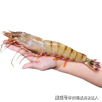 大虾怎么煮不黑 d50592a1bbd54204ac19bbdf53216de6.jpeg