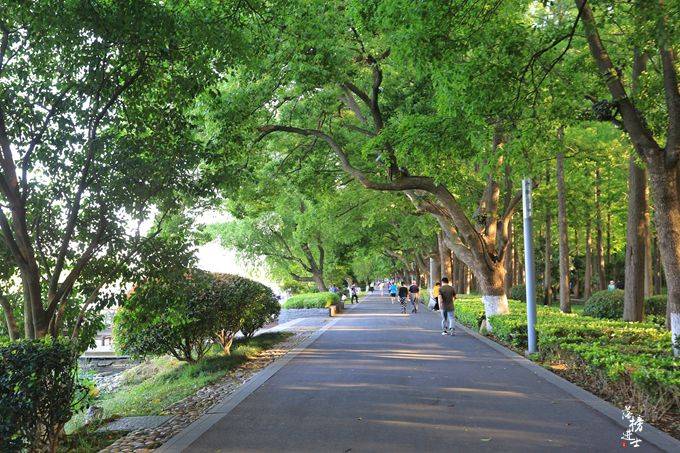 玄武湖公园，南京江南皇家园林，被誉为“金陵明珠”