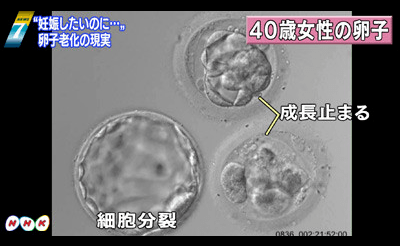 b8c458a5b1864f6a90b17793b1801b11.png