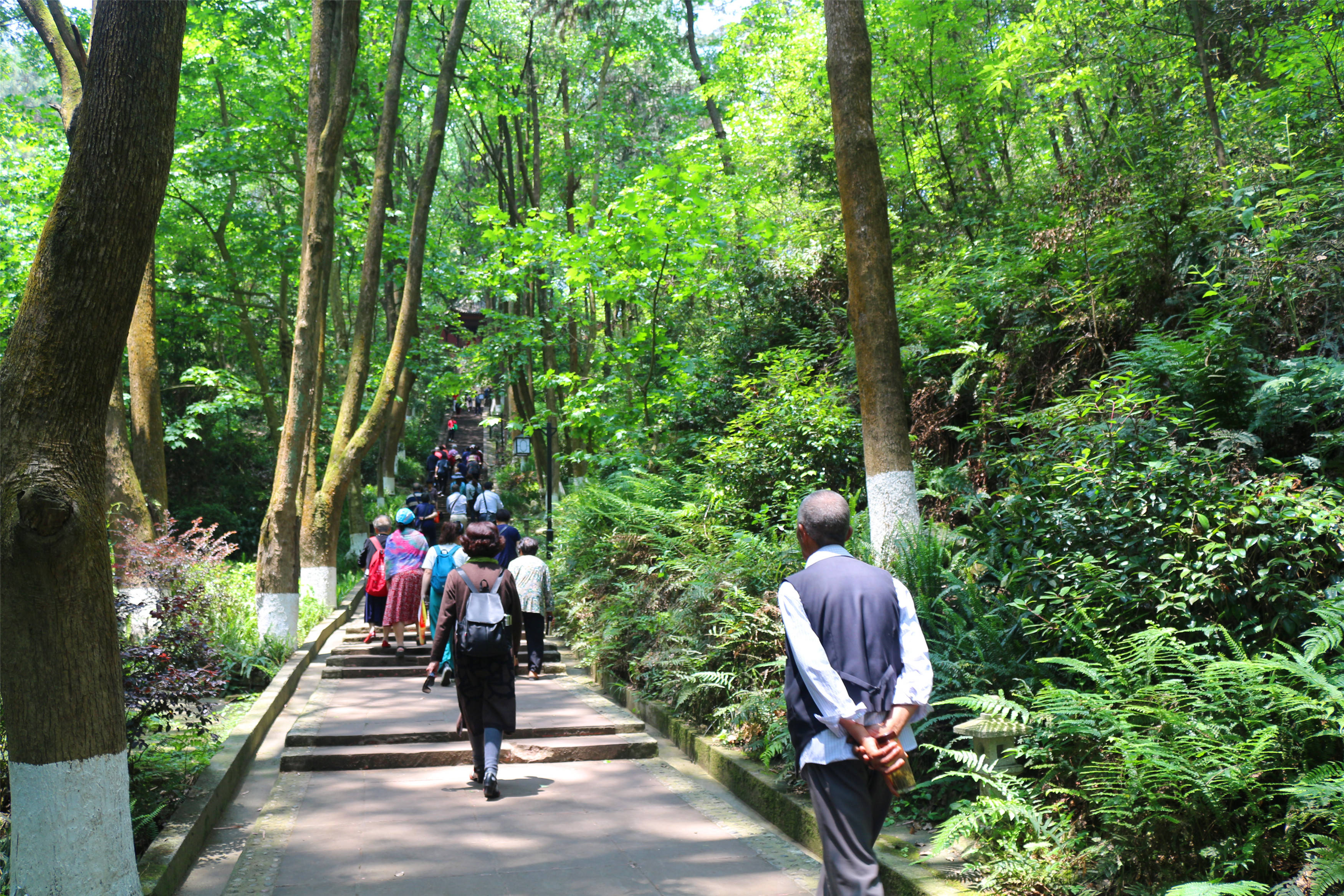 202051415邛崃竹溪湖白鹤山大梁酒庄2日游