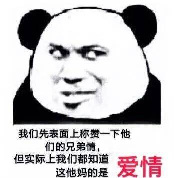 超级沙雕熊猫头表情图:老子顺着网线来打你了,有种别跑