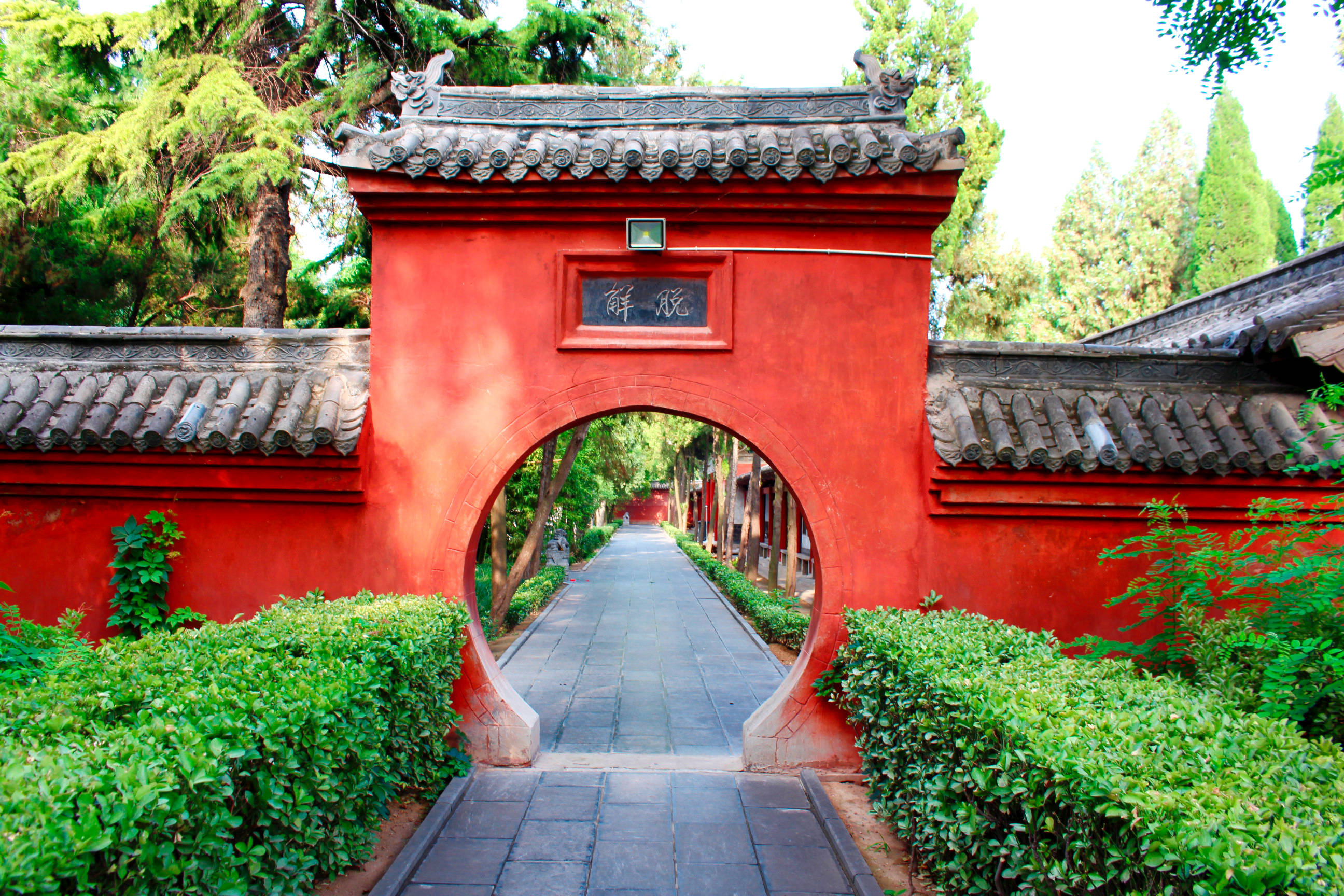 大地:致敬三十岁行走之洛阳白马寺