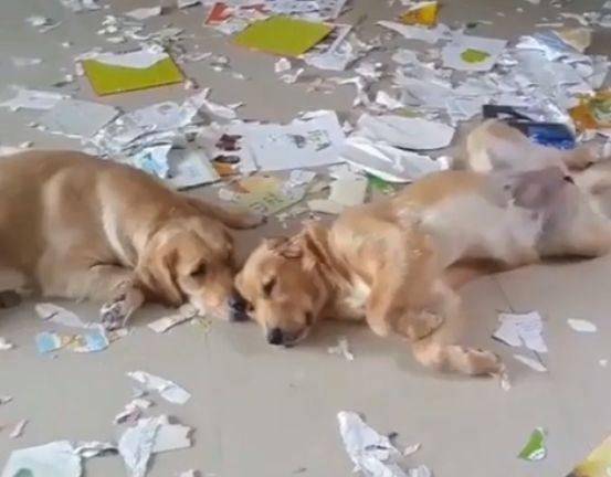 宝宝几个月会笑出声啊 af9d7d89a7f84c51ab15cc5a688351e5.jpeg