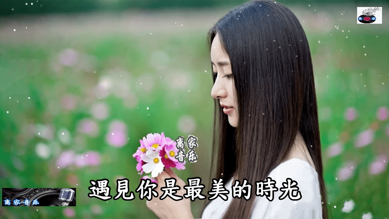 情难断爱难忘-蒋婴,高清美女好听音乐分享