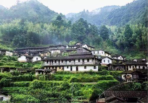 点,福州市河南商会一行8人驱车约100公里,前往罗源县中房镇林家村考察