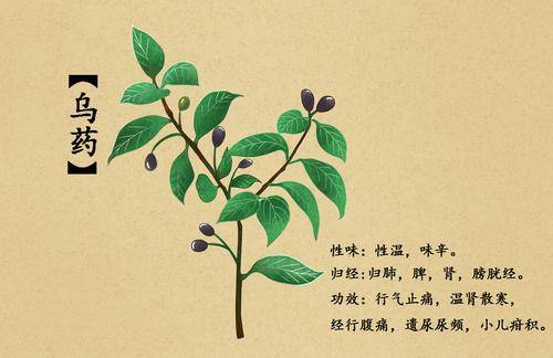 应县有多少人口_应县院里有凉亭的小区(2)