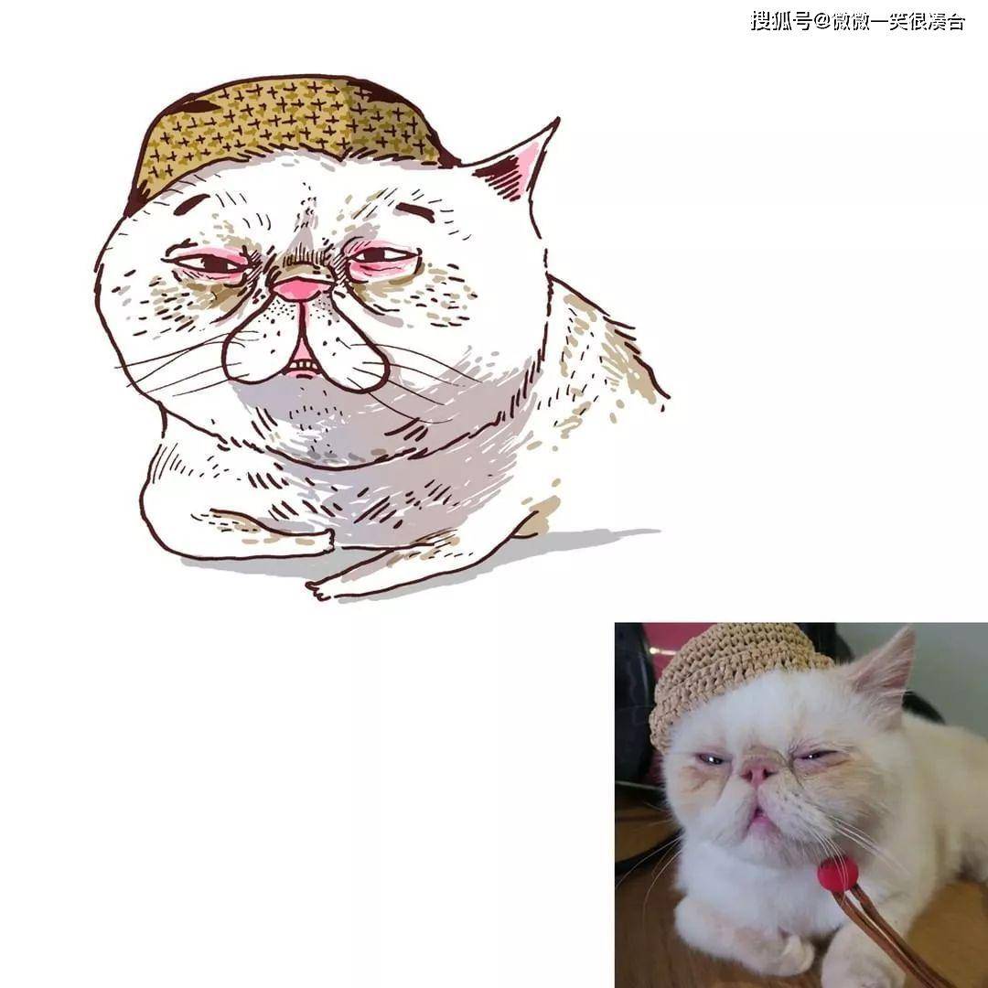 c465581d0c0d41bfa5481e13e487f3af.jpeg
