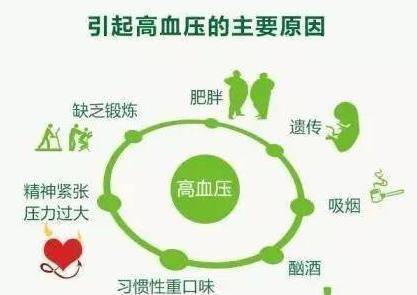 高血压引起的脑梗有生命危险吗 ec4e7df5c3014e4d845d6fbae5b6317d.jpeg