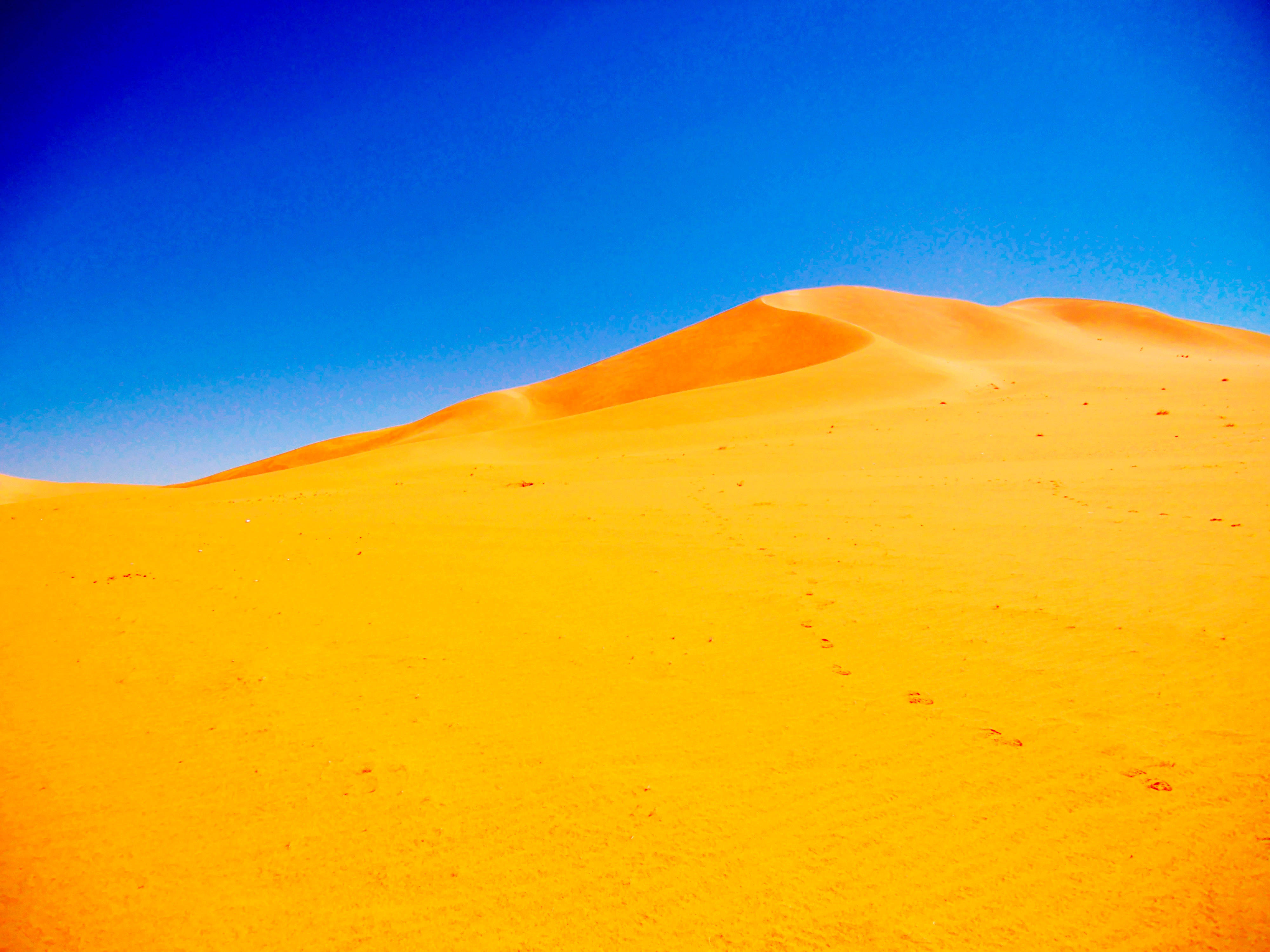 去不了三毛笔下的撒哈拉沙漠 就去库布齐沙漠骑骆驼