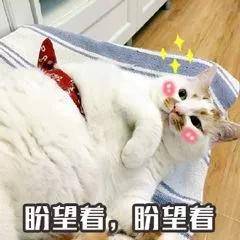 文章配图-1