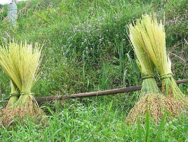 2021桂林各县gdp_桂林各县地图(3)