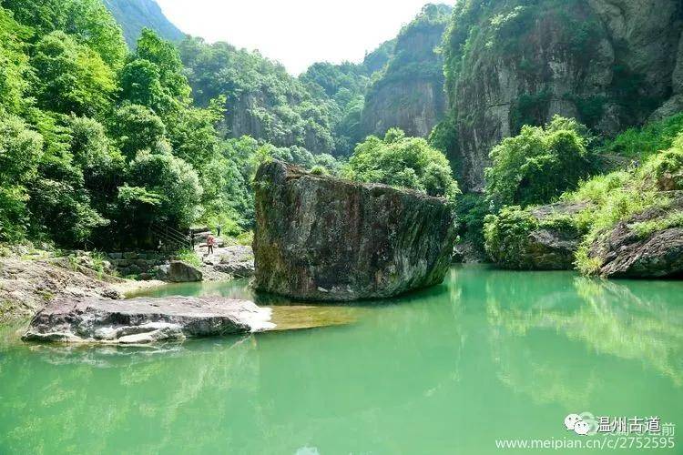 原创灵运仙境桐油花乡愁美景古道行