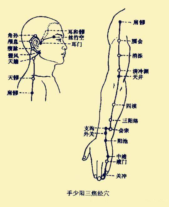 人体状况:三焦经是闪腑中最大的腑,有主持诸气,疏通水道调理好三焦经
