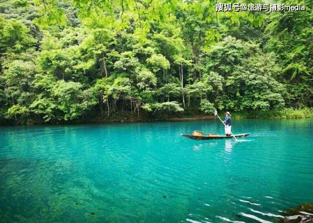 大自然最偏心的景点,仅凭森林上榜中国最美,网友:以为