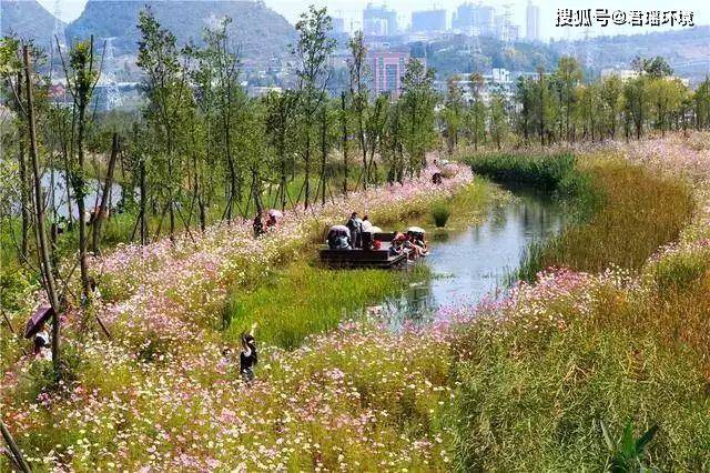 生态治理的例子 069722ec417544579581c39c1b4a5740.jpeg