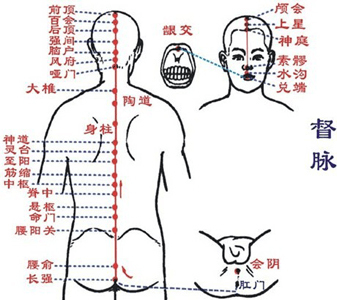 经络调理知识(十)