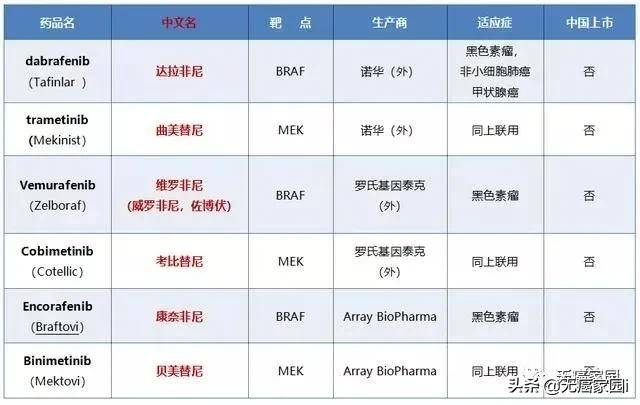 2020 csco非小细胞肺癌诊疗指南出炉!