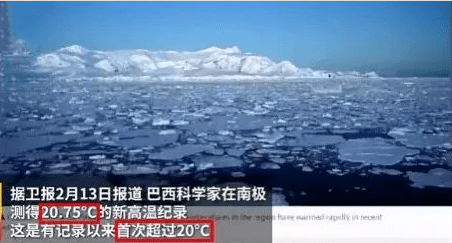 南极惊现绿雪,海象集体跳崖,2200万人流离失所...