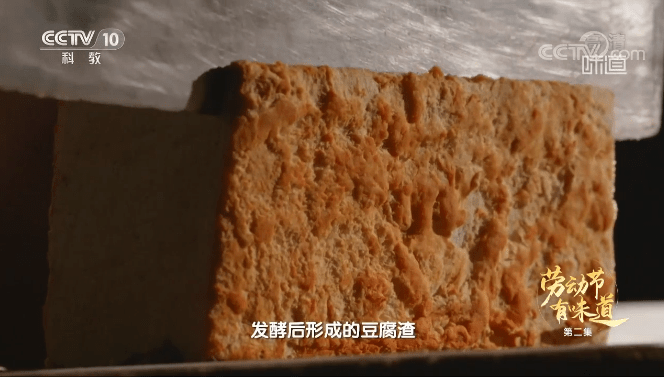 文化|为什么说广西梧州“很不广西”?