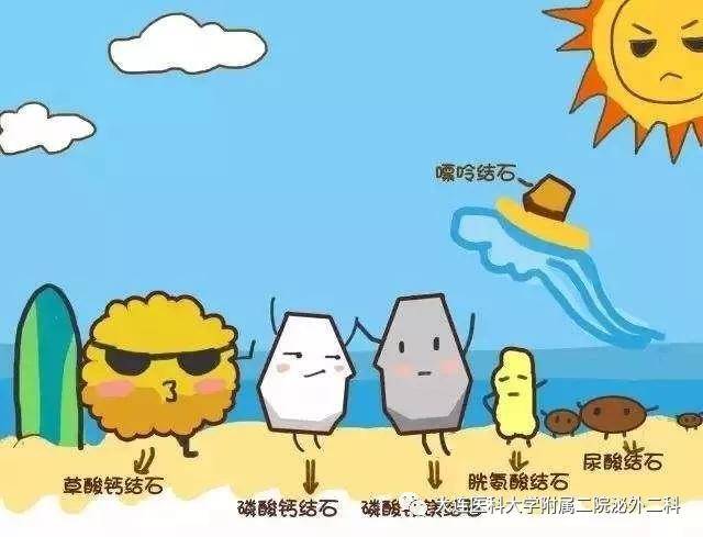 有机盐以及 酸组成,大部分为晶体状态:如草酸盐,尿酸盐,磷酸盐,胱氨酸