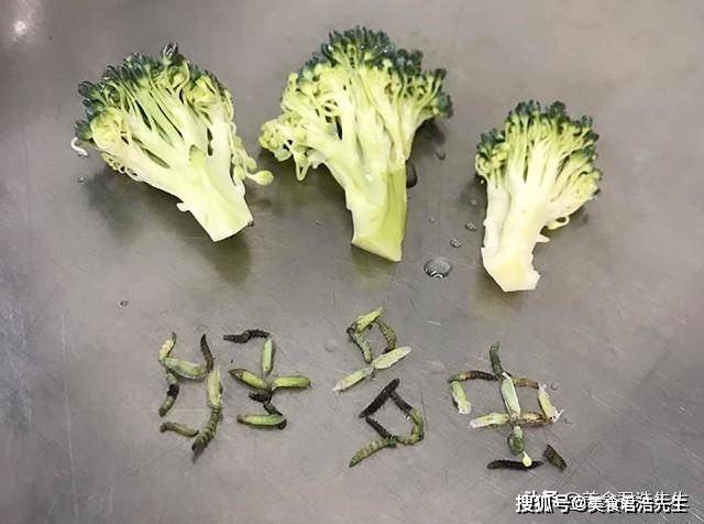 菜有虫子怎么办