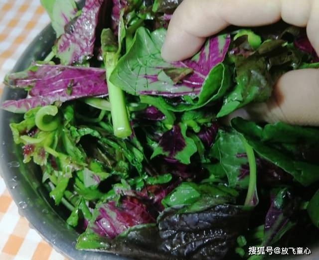 「窍门」好吃有窍门,多做这一步,鲜嫩爽滑,早餐开胃又下饭,家常炒苋菜