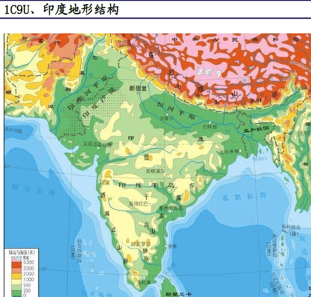 2019年印度人口_2019年印度洒红节(3)