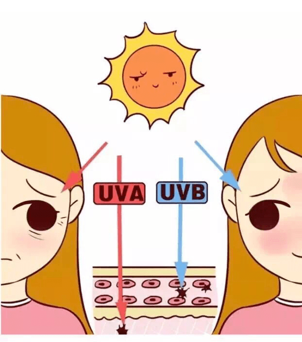 丝丝dresser主播分享夏季防晒知识